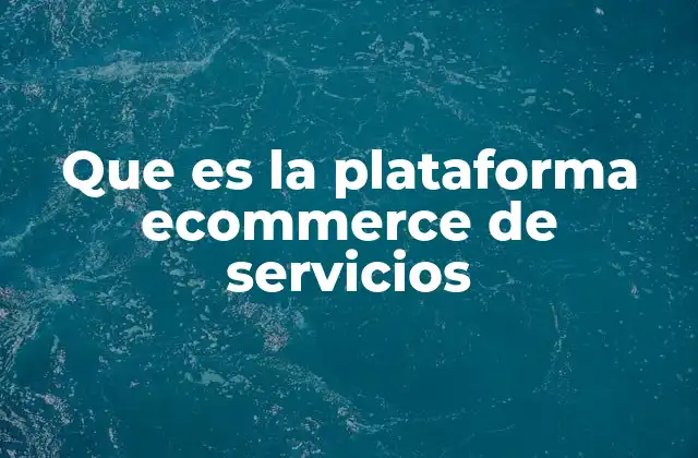 Que es la Plataforma Ecommerce de Servicios