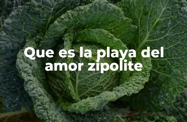 Que es la Playa Del Amor Zipolite