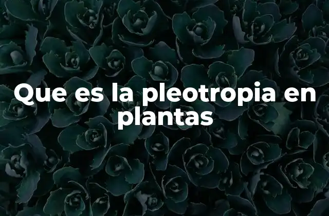 La relación entre genética y expresión fenotípica en plantas
