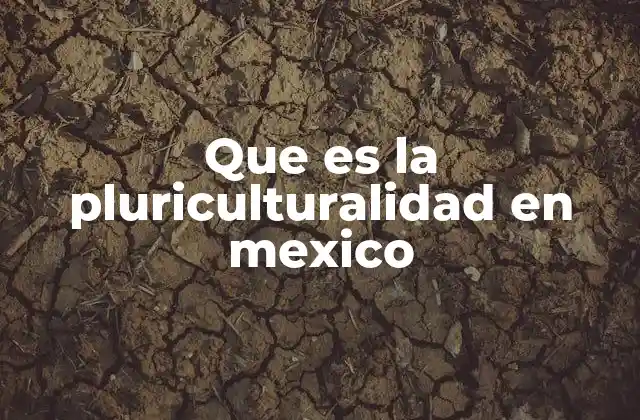 Que es la Pluriculturalidad en Mexico