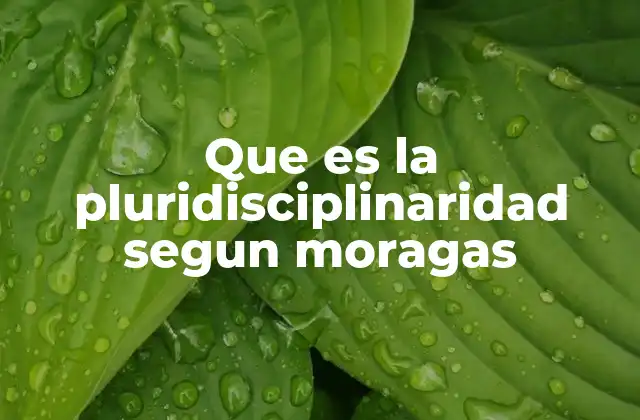 Que es la Pluridisciplinaridad Segun Moragas