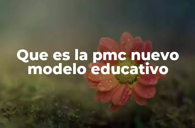 Que es la Pmc Nuevo Modelo Educativo