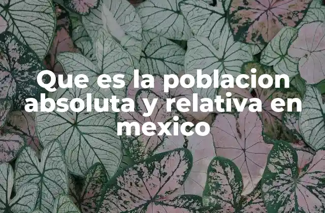 Que es la Poblacion Absoluta y Relativa en Mexico
