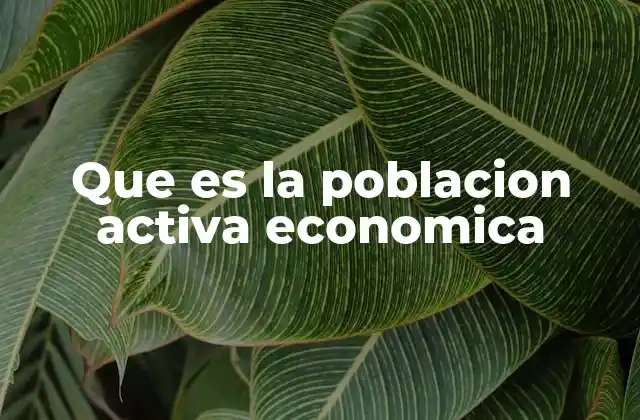 Que es la Poblacion Activa Economica