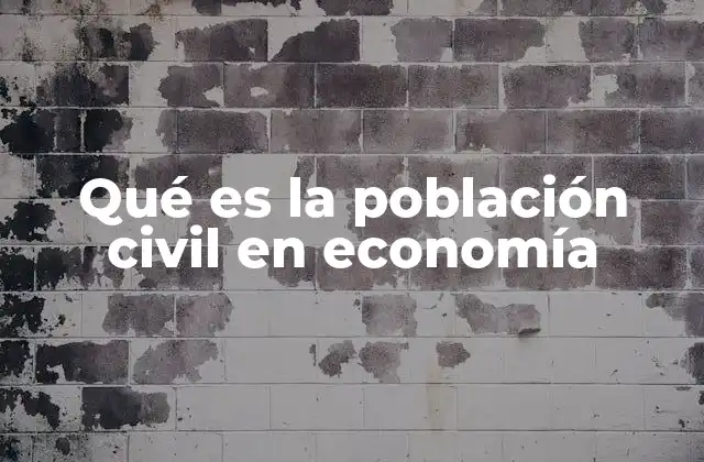 Qué es la Población Civil en Economía