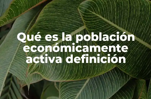 Qué es la Población Económicamente Activa Definición