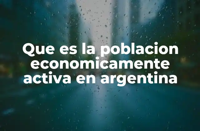 Que es la Poblacion Economicamente Activa en Argentina