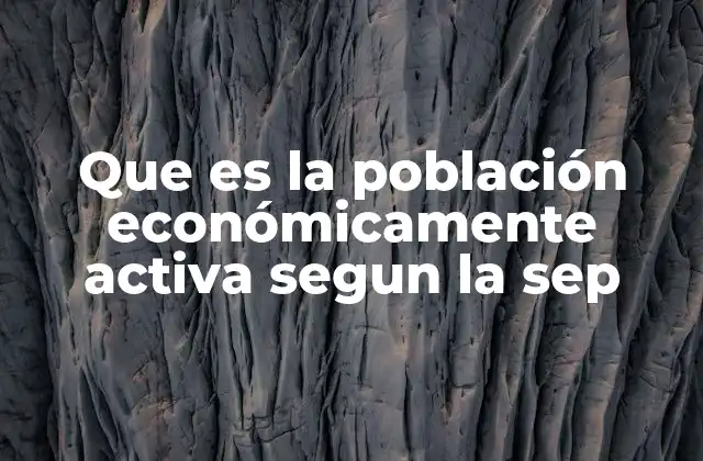 Que es la Población Económicamente Activa Segun la Sep