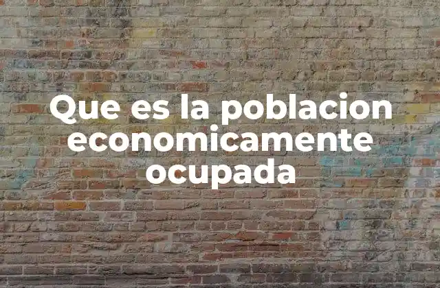 Que es la Poblacion Economicamente Ocupada