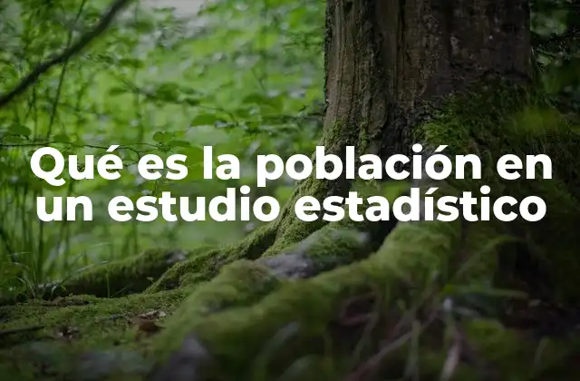 La población como base de cualquier análisis estadístico