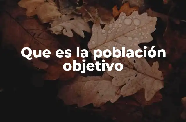 Que es la Población Objetivo 2 La importancia de identificar a la población objetivo
