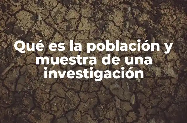 Qué es la Población y Muestra de una Investigación