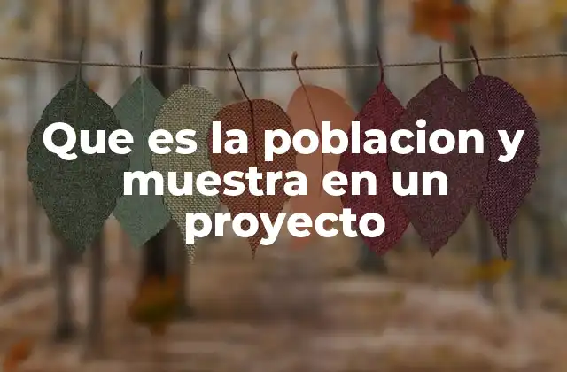 Que es la Poblacion y Muestra en un Proyecto