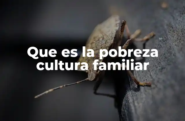 Que es la Pobreza Cultura Familiar