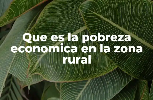 Que es la Pobreza Economica en la Zona Rural
