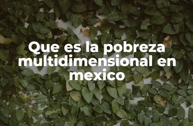 Que es la Pobreza Multidimensional en Mexico