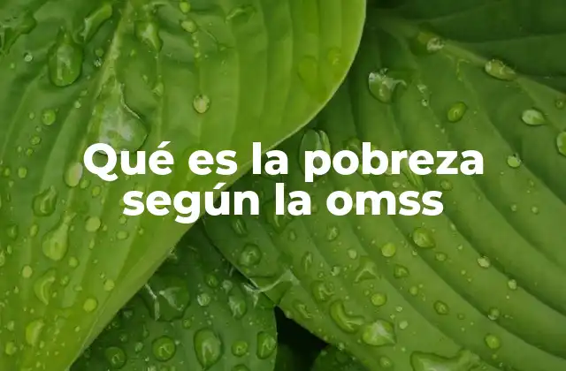 Qué es la Pobreza según la Omss