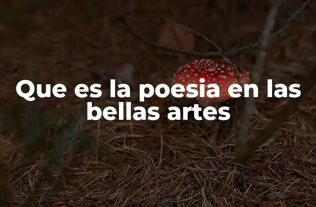 Que es la Poesia en las Bellas Artes