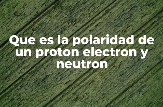 Que es la Polaridad de un Proton Electron y Neutron