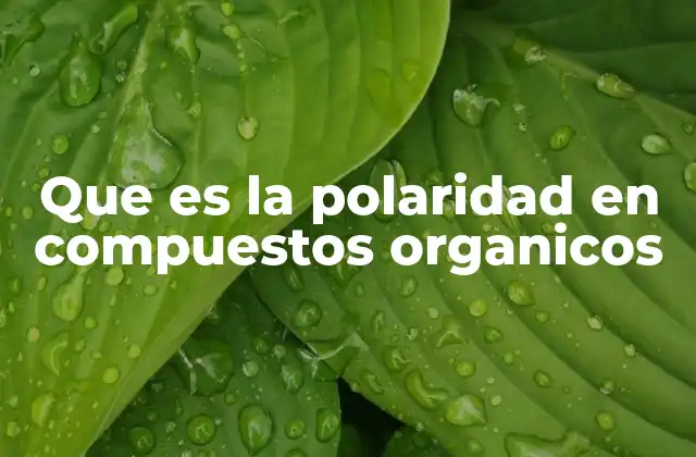 Que es la Polaridad en Compuestos Organicos