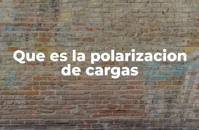 Que es la Polarizacion de Cargas