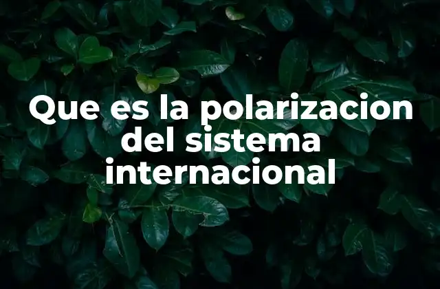 Causas y factores que generan la polarización internacional