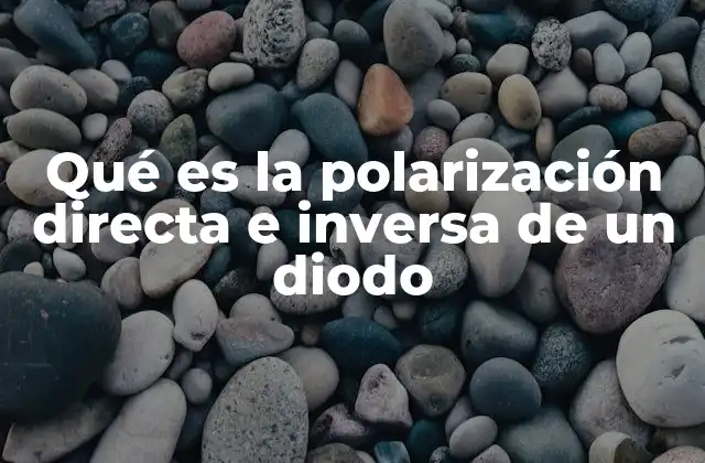 Qué es la Polarización Directa e Inversa de un Diodo