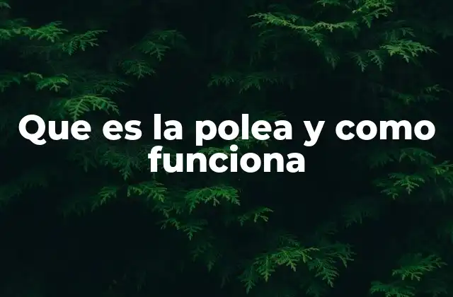 El papel de las poleas en la física y la ingeniería