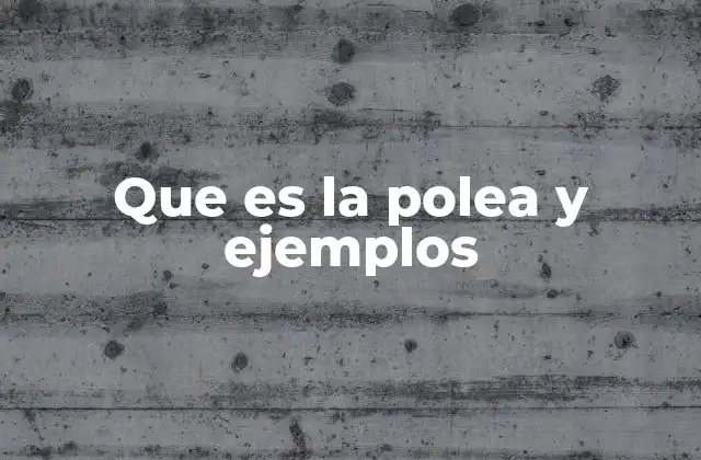 Que es la Polea y Ejemplos