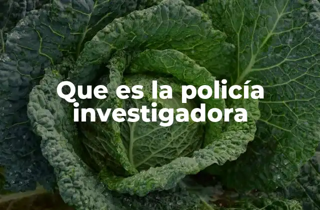 Que es la Policía Investigadora