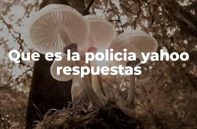 Que es la Policia Yahoo Respuestas