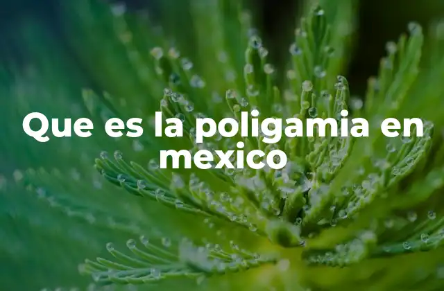 Que es la Poligamia en Mexico