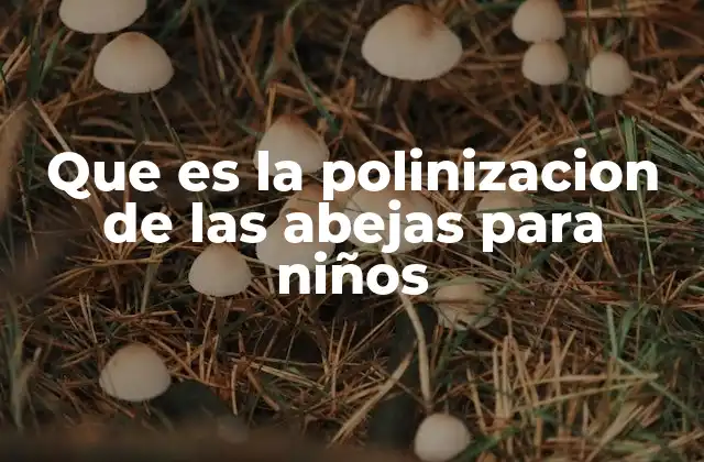 Que es la Polinizacion de las Abejas para Niños
