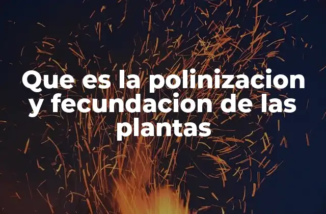 Que es la Polinizacion y Fecundacion de las Plantas
