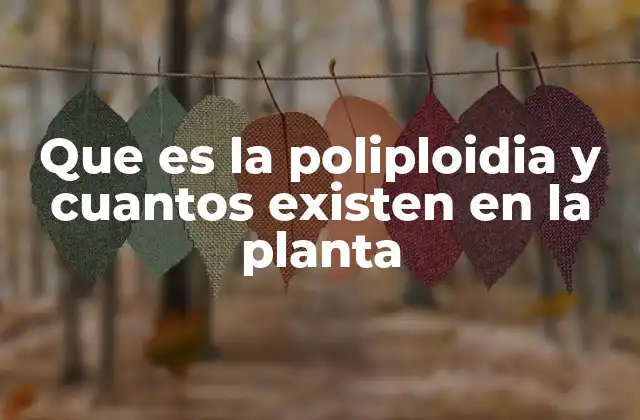 Que es la Poliploidia y Cuantos Existen en la Planta