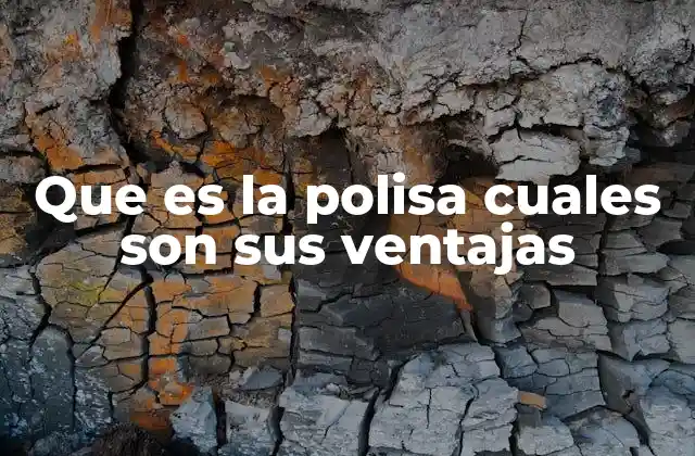 Que es la Polisa Cuales Son Sus Ventajas