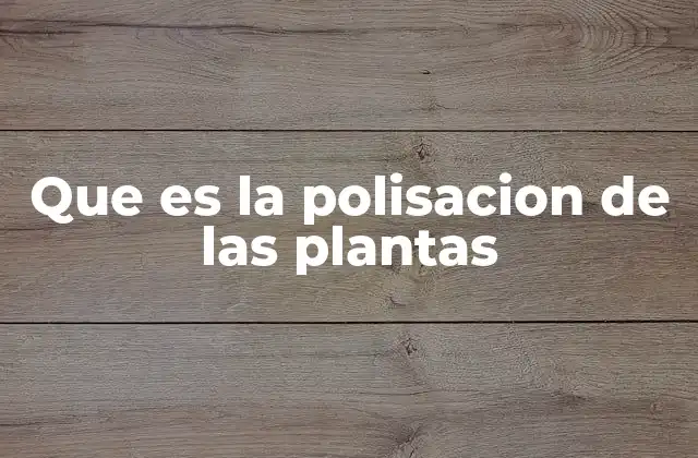 Que es la Polisacion de las Plantas