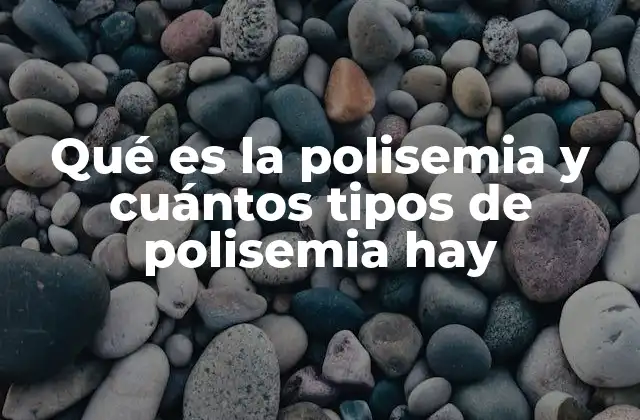 Qué es la Polisemia y Cuántos Tipos de Polisemia Hay