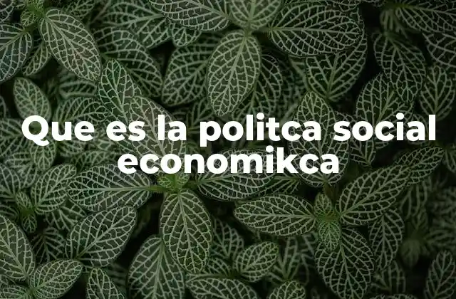 Que es la Politca Social Economikca