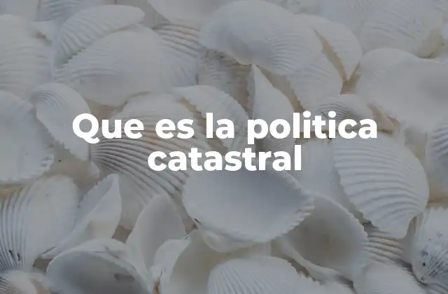 Que es la Politica Catastral