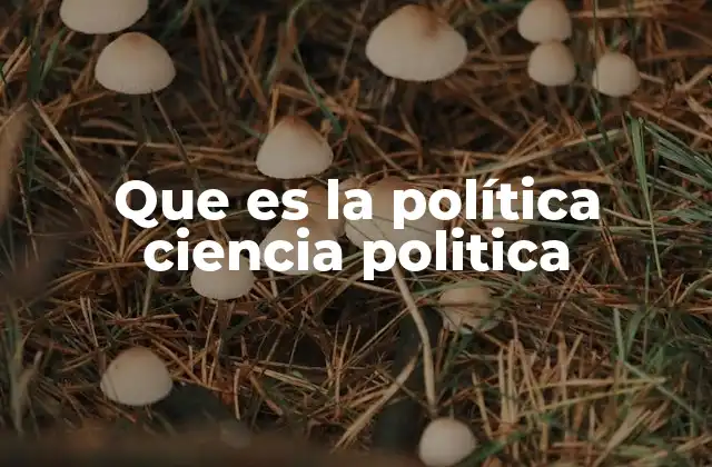 Que es la Política Ciencia Politica
