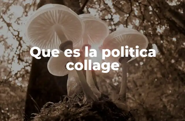 Que es la Politica Collage
