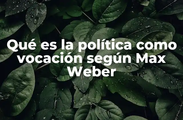 Qué es la Política como Vocación según Max Weber