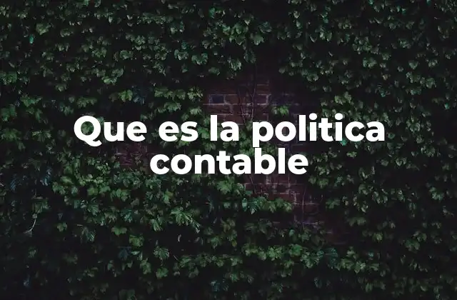 Que es la Politica Contable 2 La base estructural de las decisiones contables