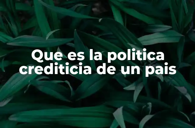 Cómo la política crediticia influye en el desarrollo económico