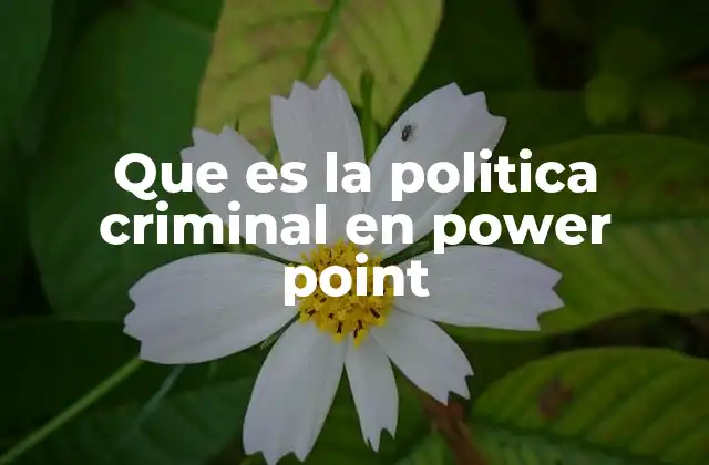 Que es la Politica Criminal en Power Point