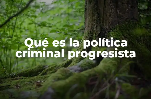 Qué es la Política Criminal Progresista