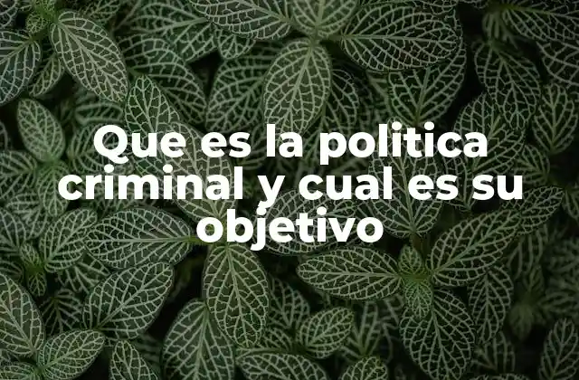 Que es la Politica Criminal y Cual es Su Objetivo