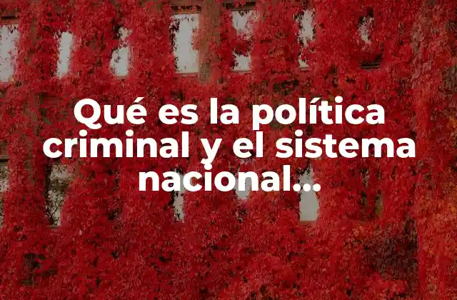 El papel de las políticas en la seguridad y justicia pública