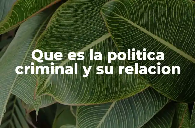 Que es la Politica Criminal y Su Relacion
